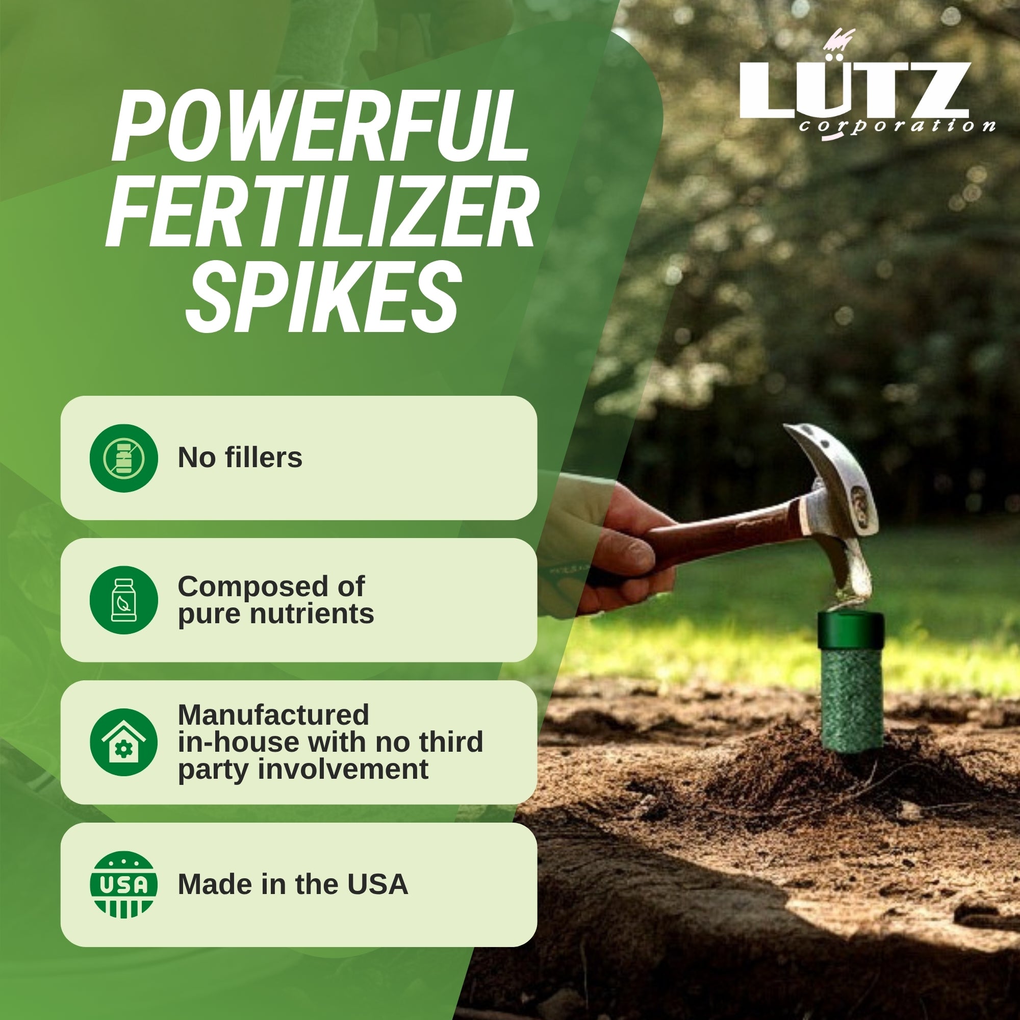 Lutz Palm Tree Fertilizer Spikes - Image 4