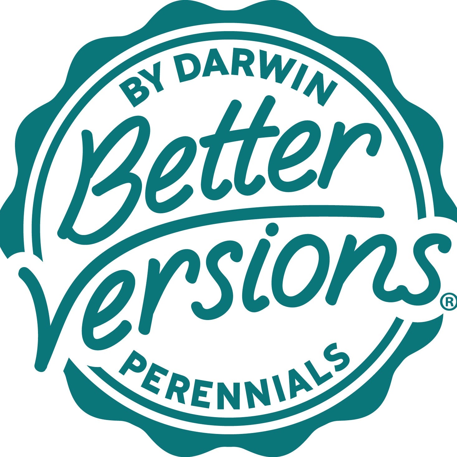 Better Versions® Sombrero® Adobe Orange Echinacea Plant - Image 5