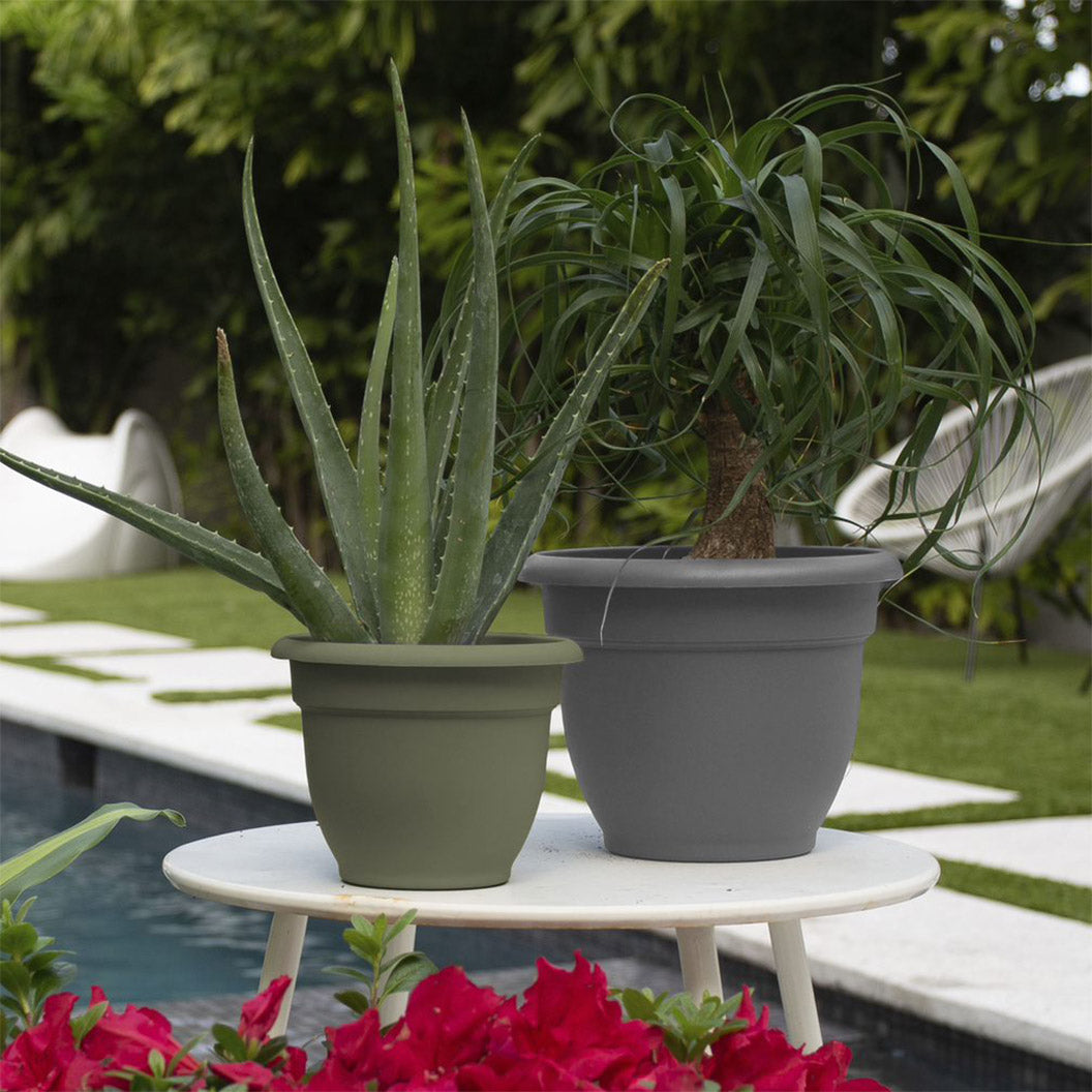 Bloem Ariana Self-Watering Planter in Charcoal - Image 5