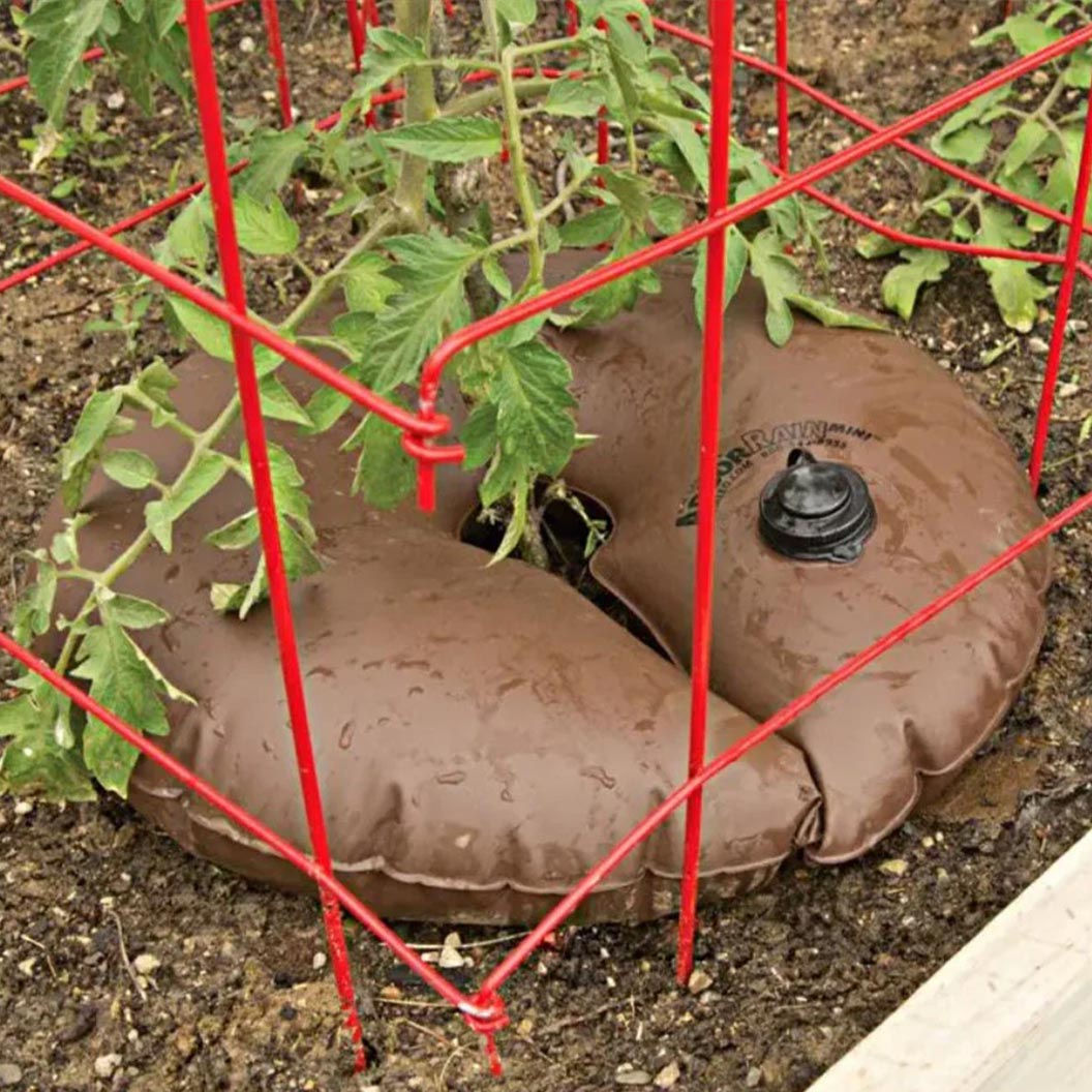 ArborRain™ Slow Release Watering Ring - Image 3