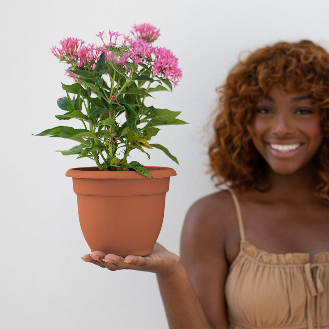 Bloem Ariana Self-Watering Planter in Terra Cotta - Image 4