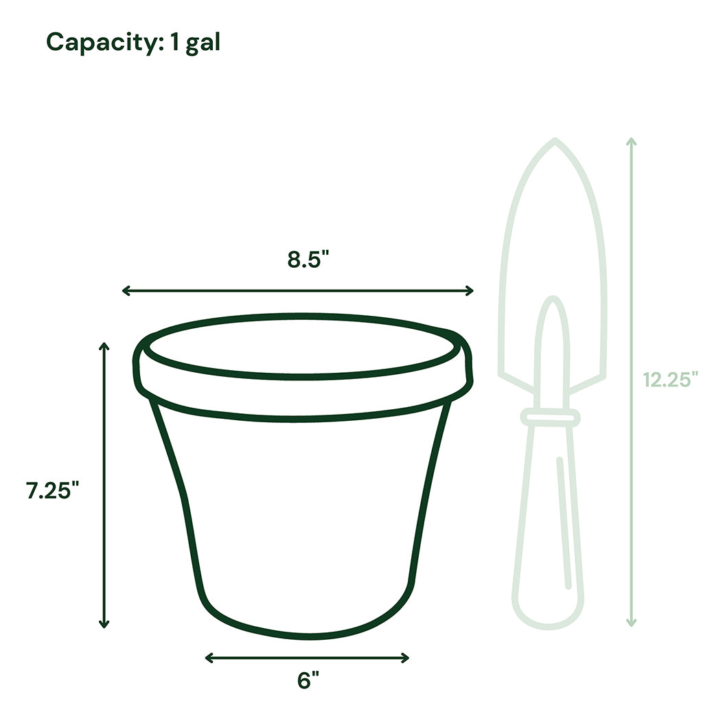 Bloem Terra Planter in Black - Image 6