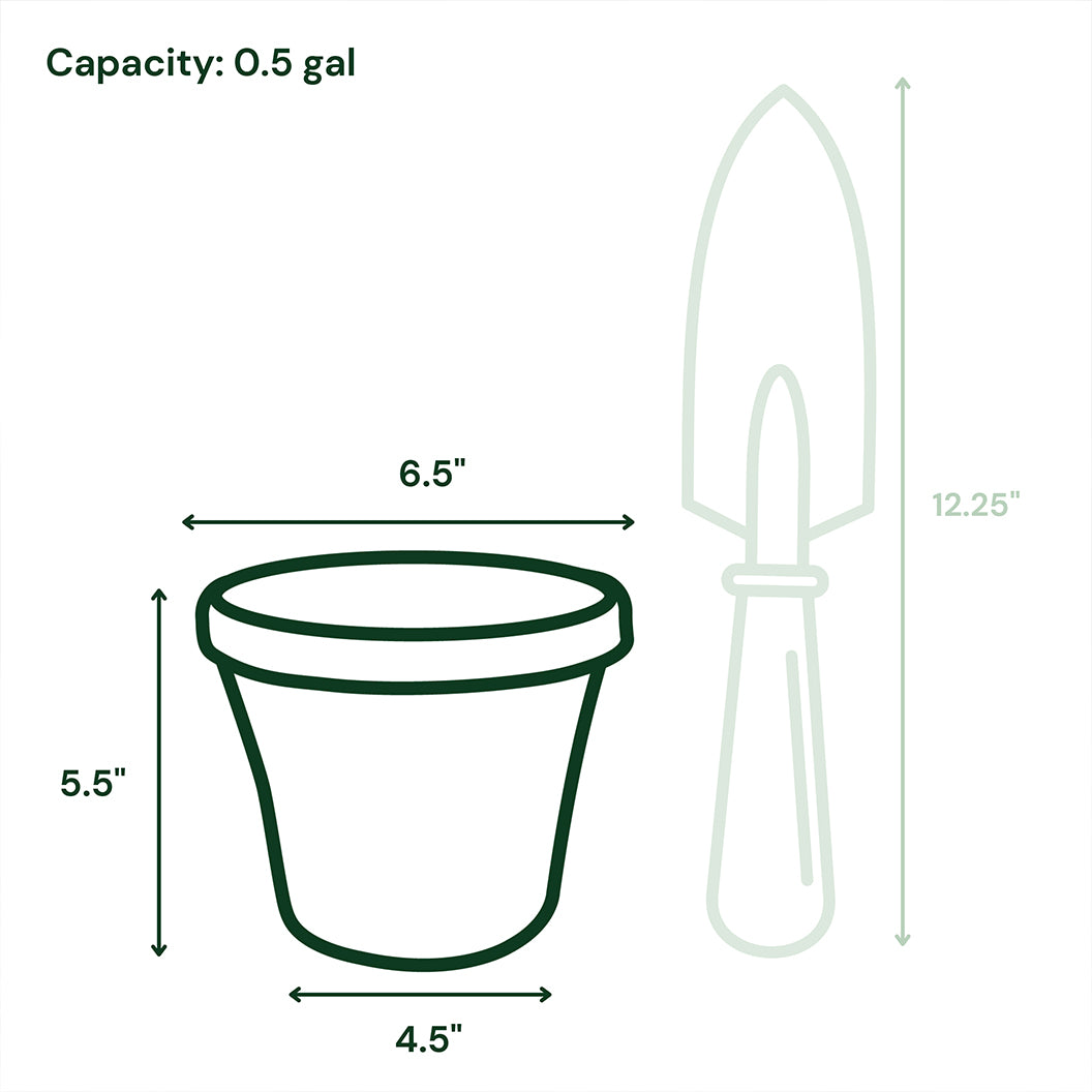 Bloem Terra Planter in Black - Image 9