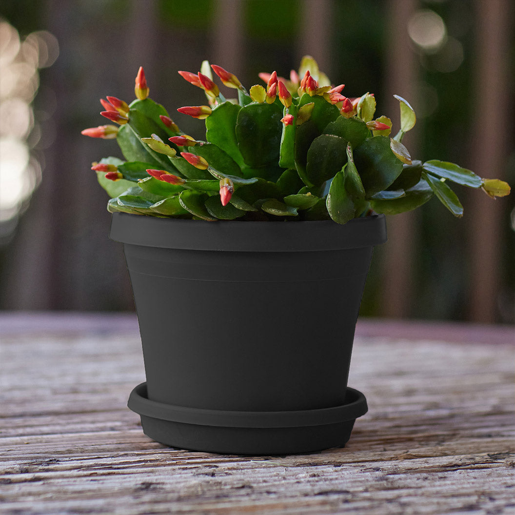 Bloem Terra Planter in Black - Image 4