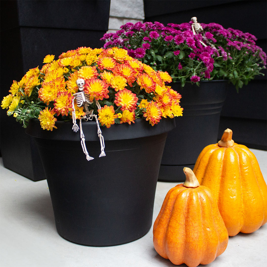 Bloem Terra Planter in Black - Image 5