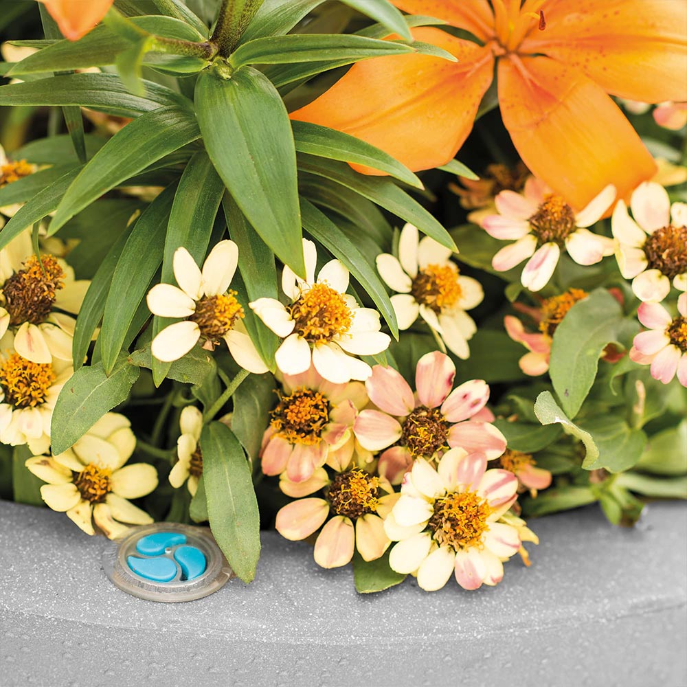 Crescent Garden Pinch Planter - Image 4