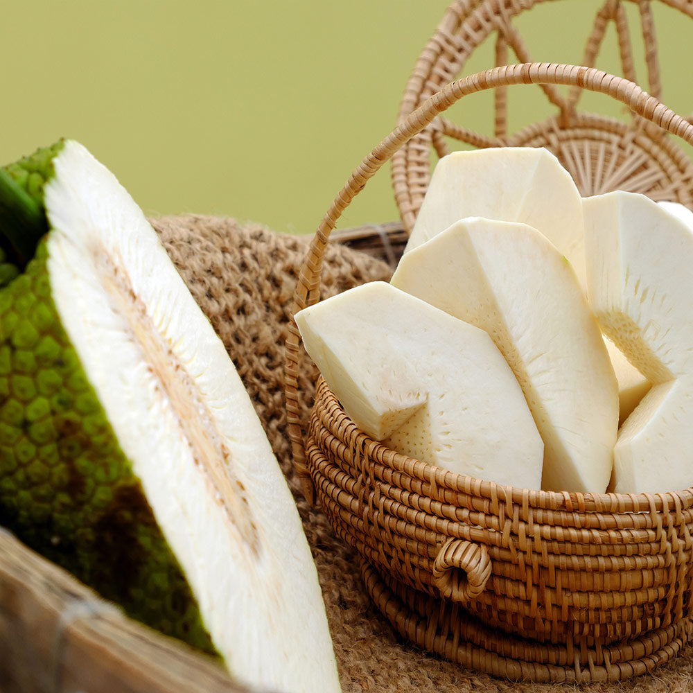 Breadfruit Tree - Image 3