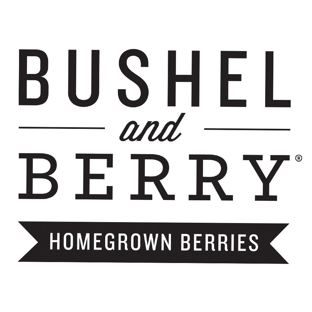 Bushel and Berry® Jelly Bean® Blueberry Bush - Image 8