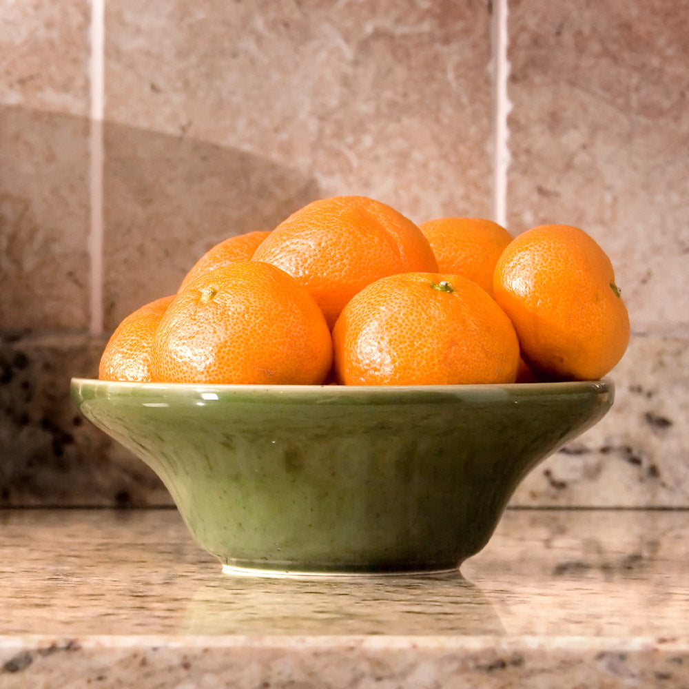 Calamondin Bush - Image 3