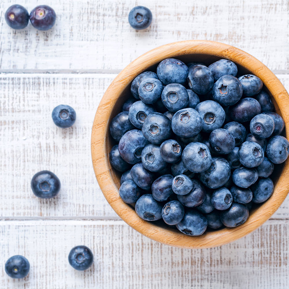 Climax Blueberry Bush - Image 4
