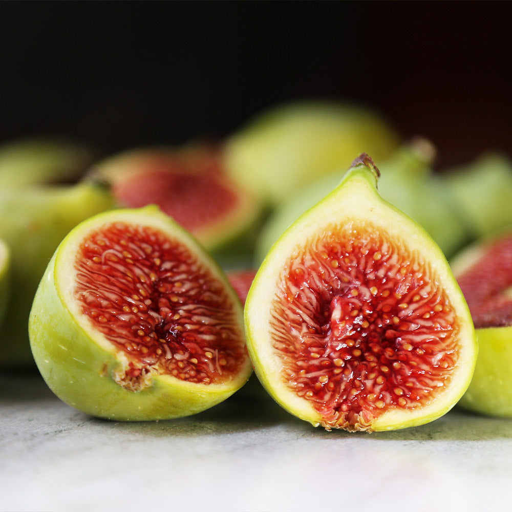 Desert King Fig Tree - Image 3