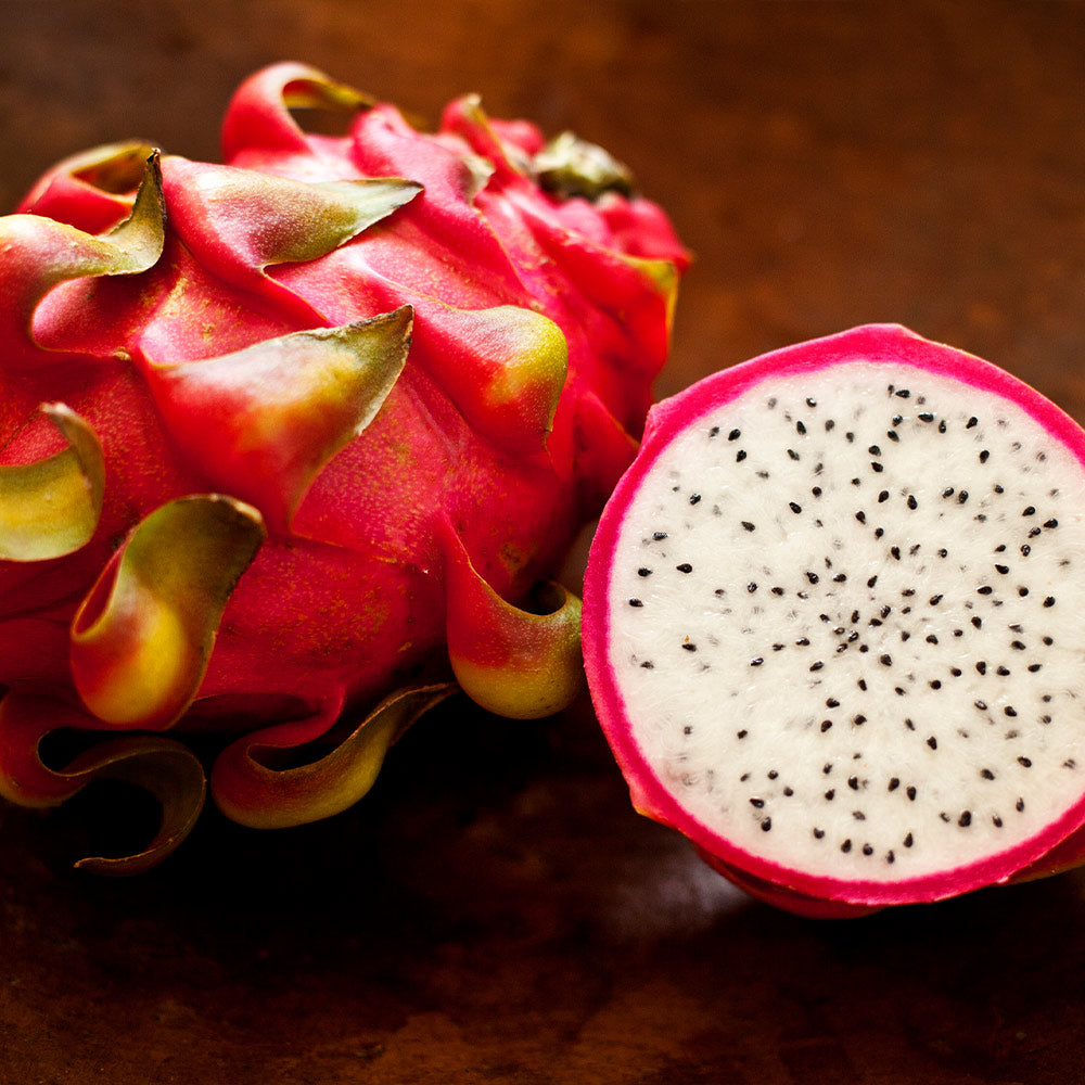 Dragon Fruit Cactus Plant - USDA Organic - Image 2