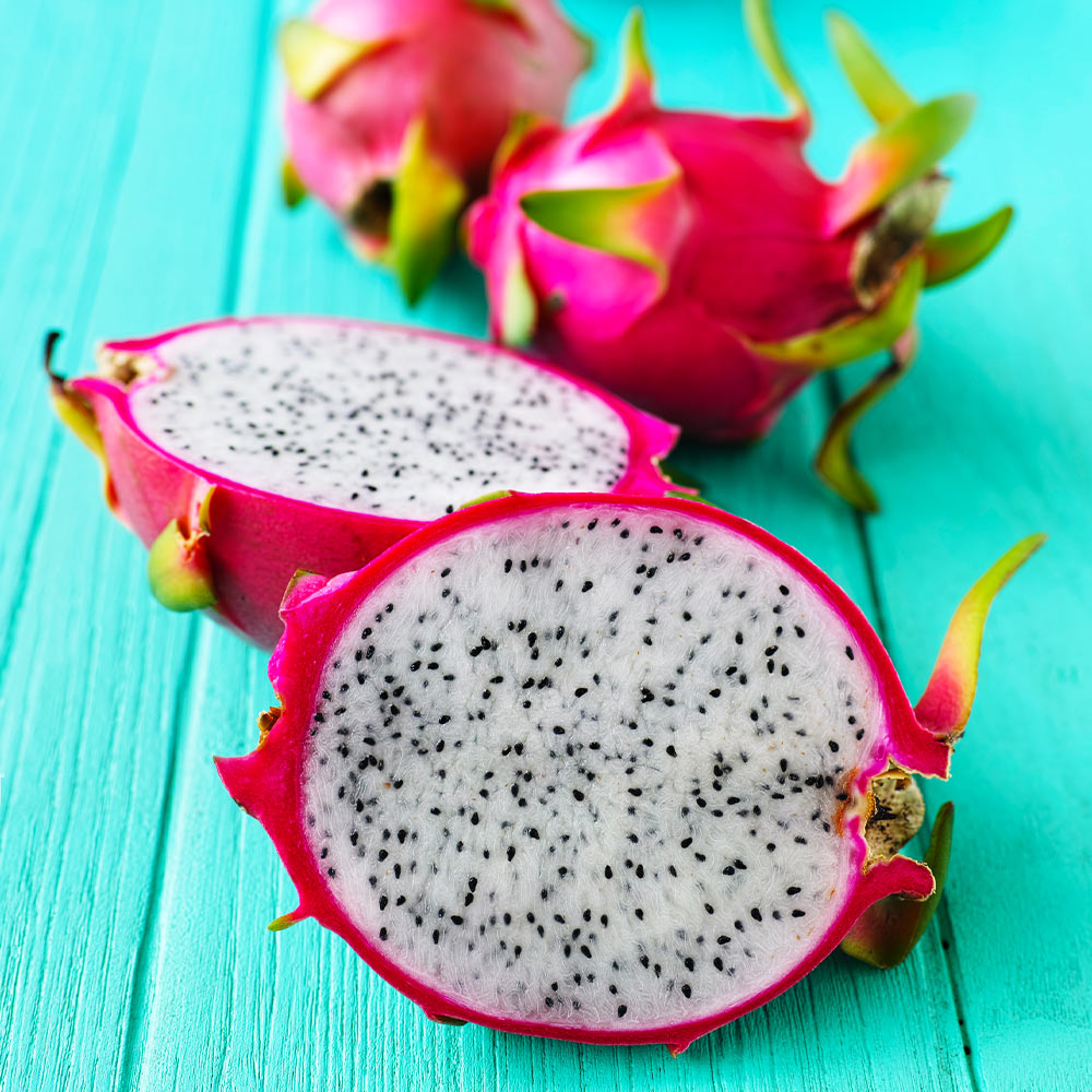 Dragon Fruit Cactus Plant - USDA Organic - Image 4