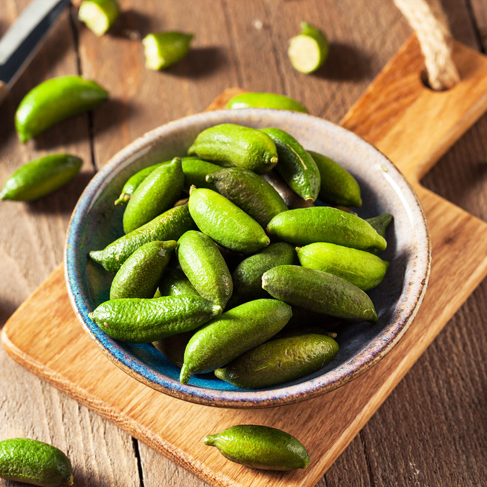Australian Finger Lime Tree - Image 4
