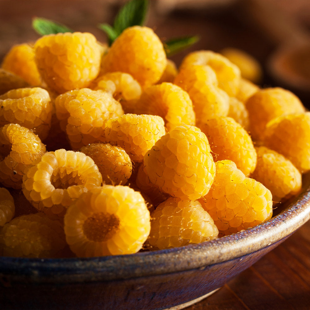 Golden Raspberry California - Image 2