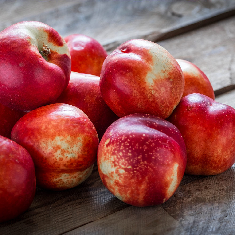 Goldmine Nectarine Tree - Image 2
