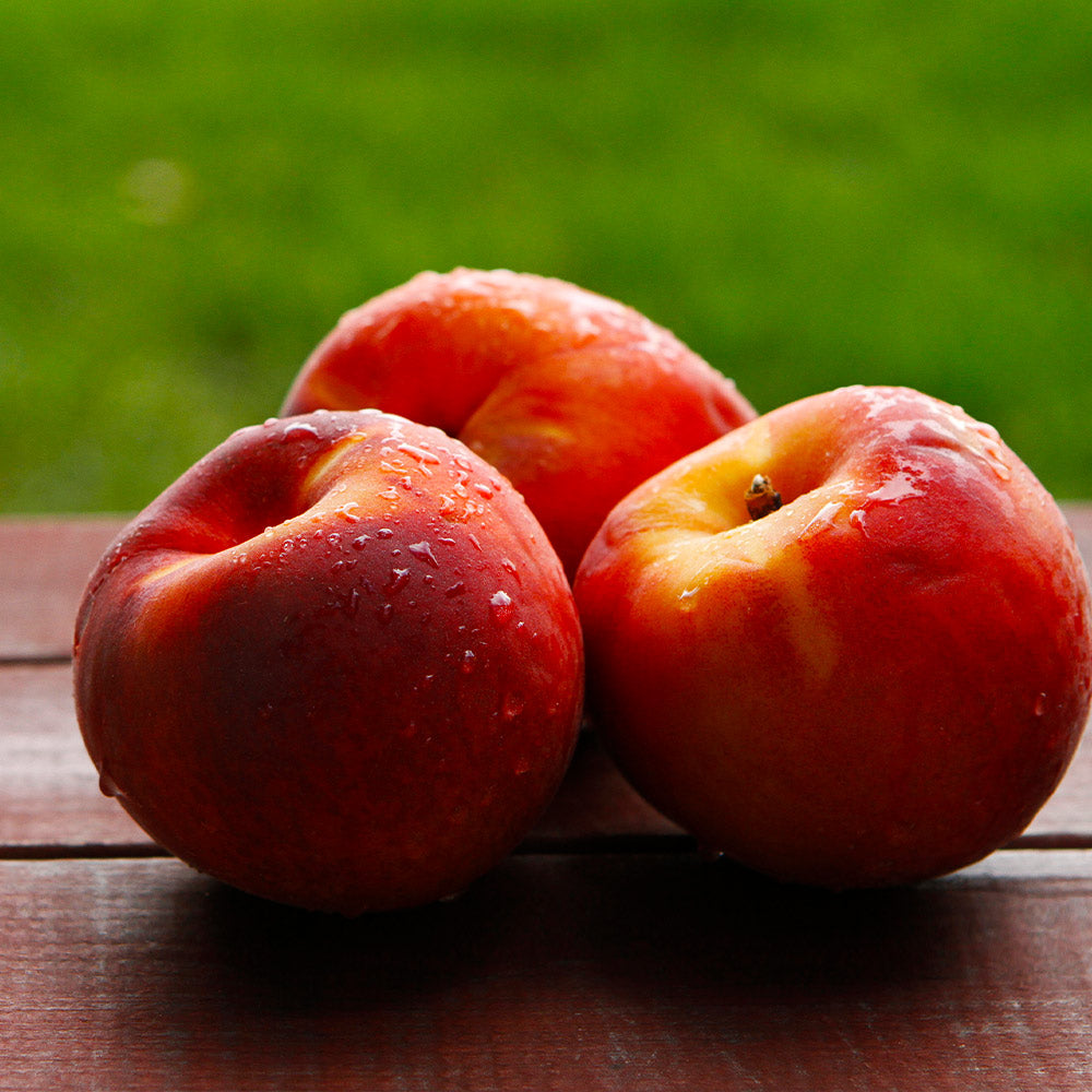 Harko Nectarine Tree - Image 2