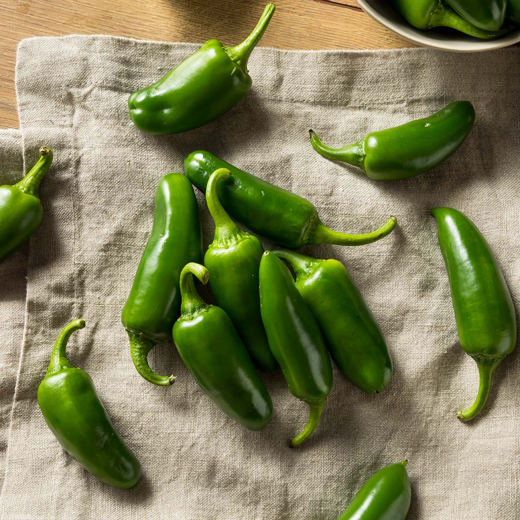 Jalapeno Pepper Plant - USDA Organic - Image 2