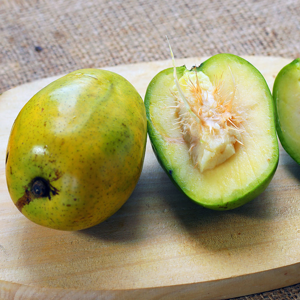 June Plum Tree - Image 2
