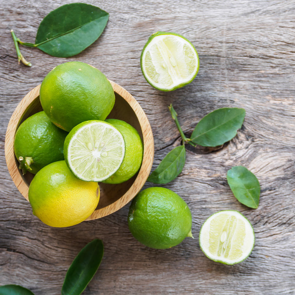 Key Lime Bush - Image 3