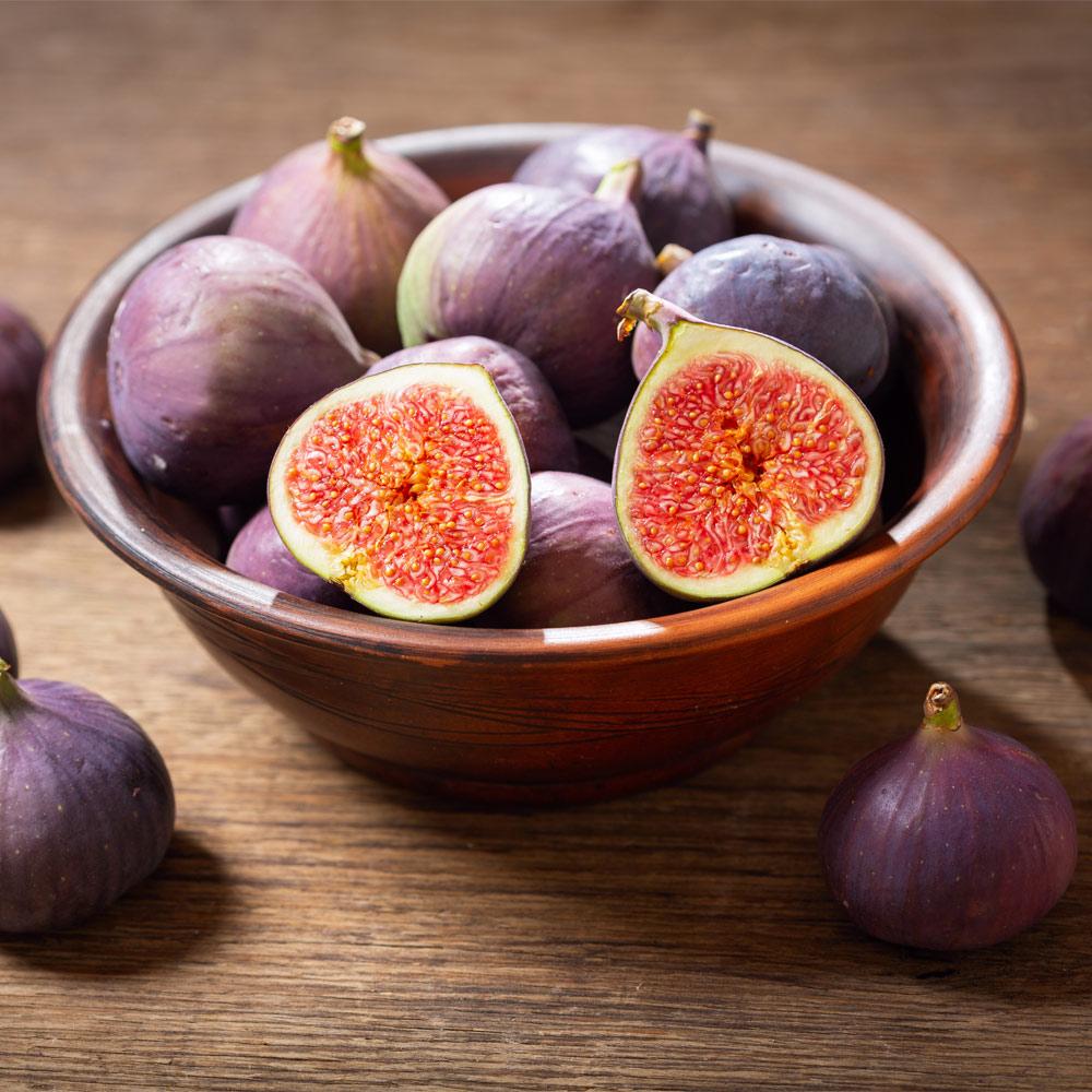 LSU Purple Fig Tree - Image 2
