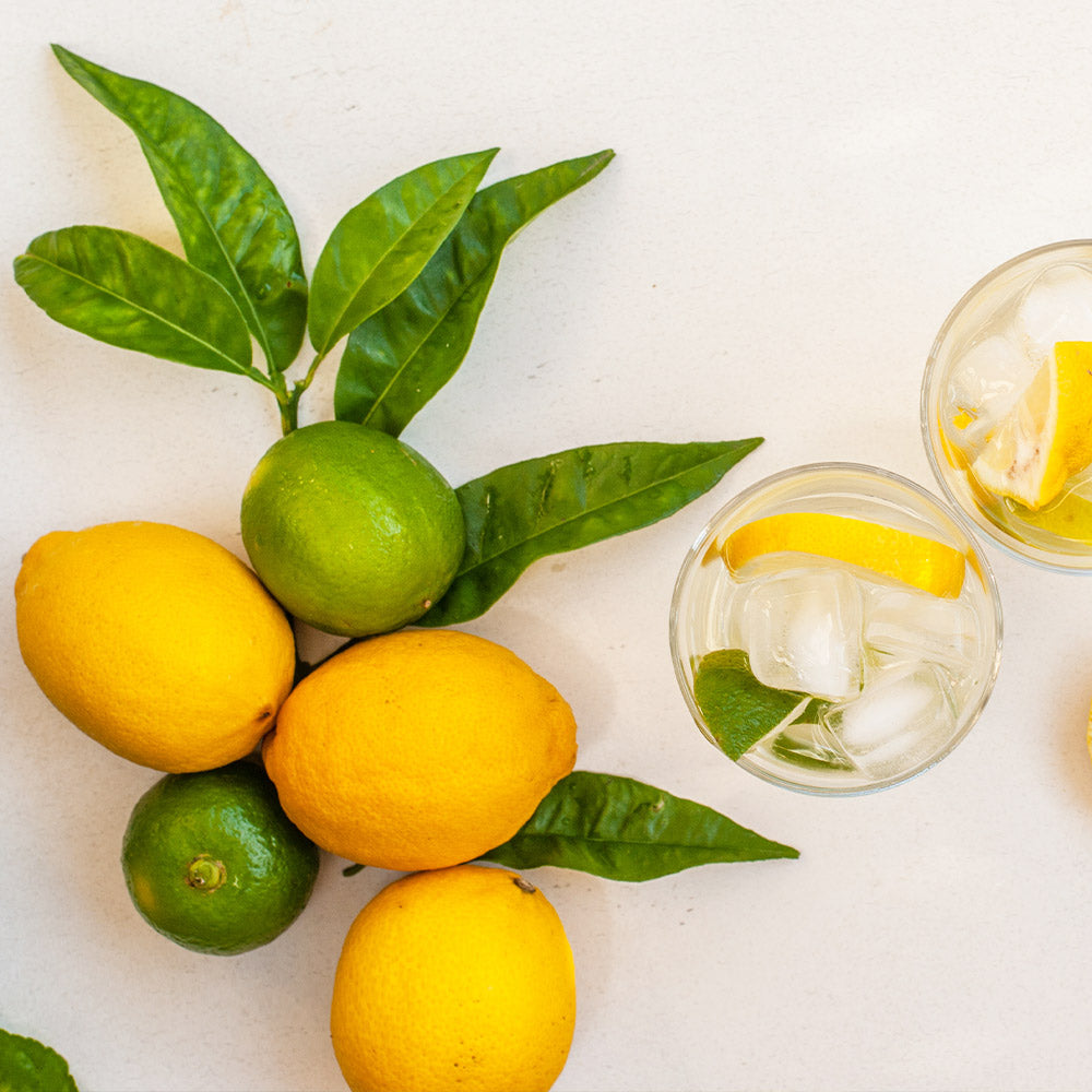 Lemon-Lime Citrus Tree - Image 2
