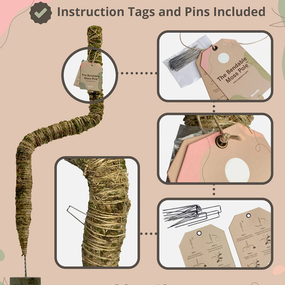 Mossify The Original Bendable Moss Pole™ - Image 5