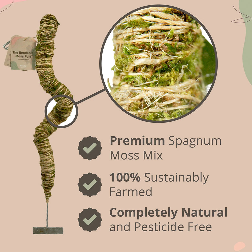 Mossify The Original Bendable Moss Pole™ - Image 4