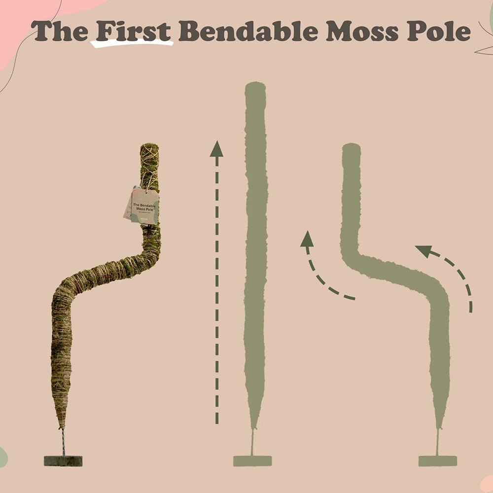 Mossify The Original Bendable Moss Pole™ - Image 6