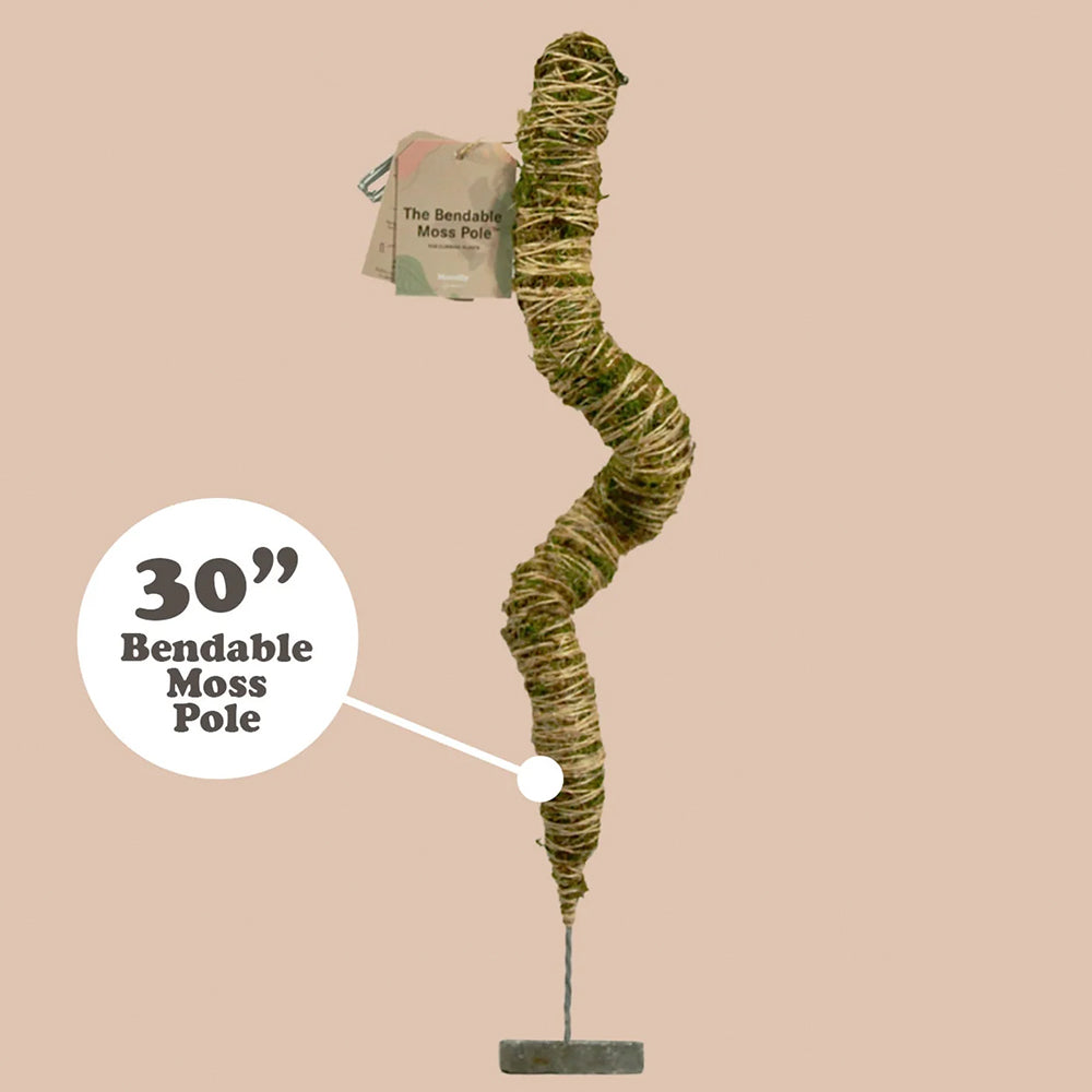Mossify The Original Bendable Moss Pole™ - Image 7