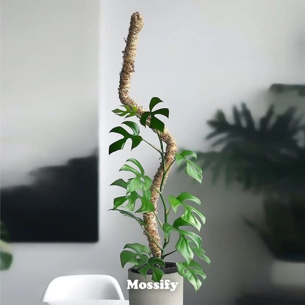Mossify The Original Bendable Moss Pole™ - Image 2