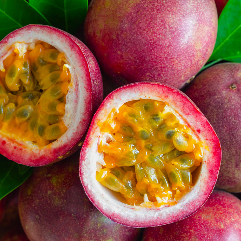 Nancy Garrison Passion Fruit Vine - Image 3
