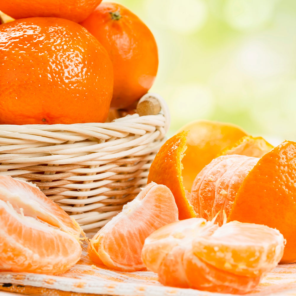 Owari Satsuma Mandarin Tree - Image 4
