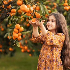Page Mandarin Tree