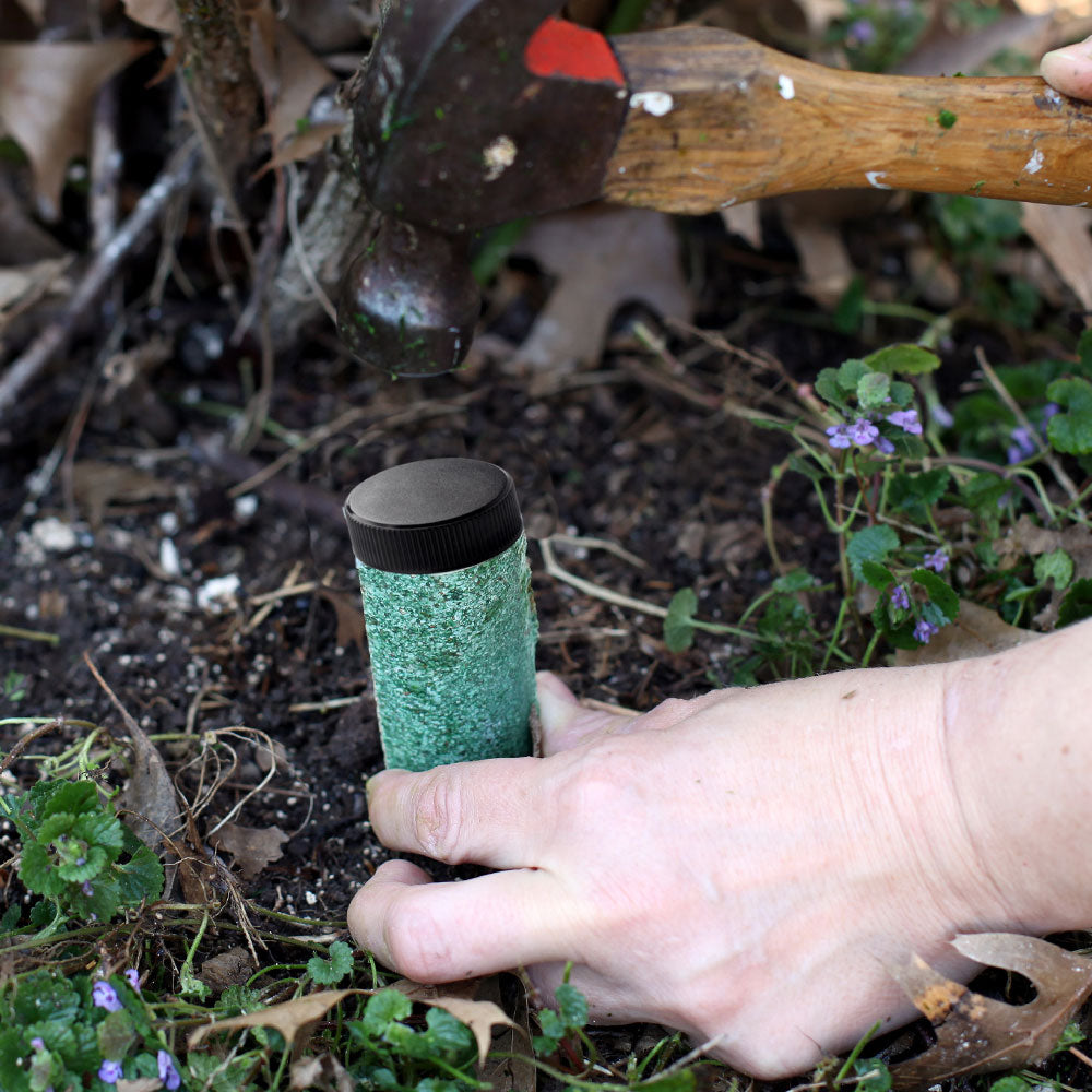 Lutz Palm Tree Fertilizer Spikes - Image 2