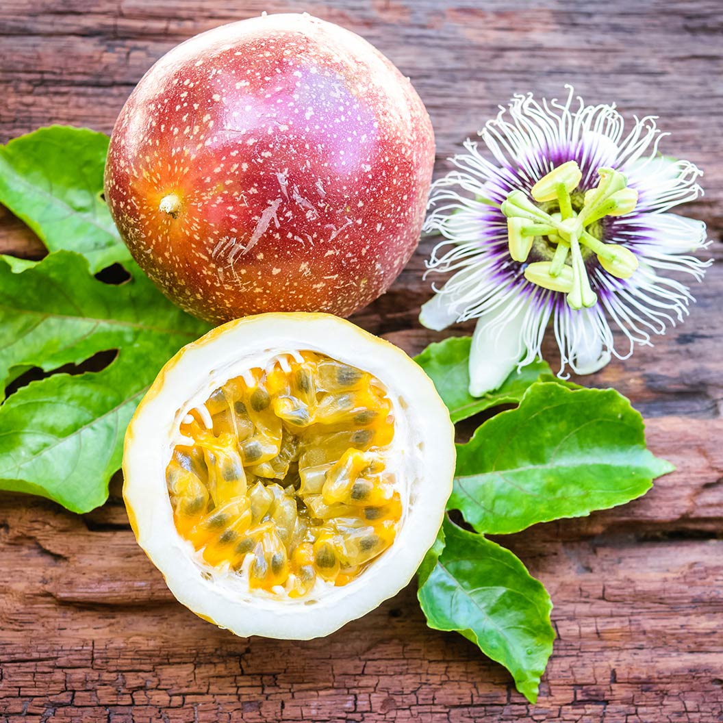 Frederick Passion Fruit Vine - Image 2