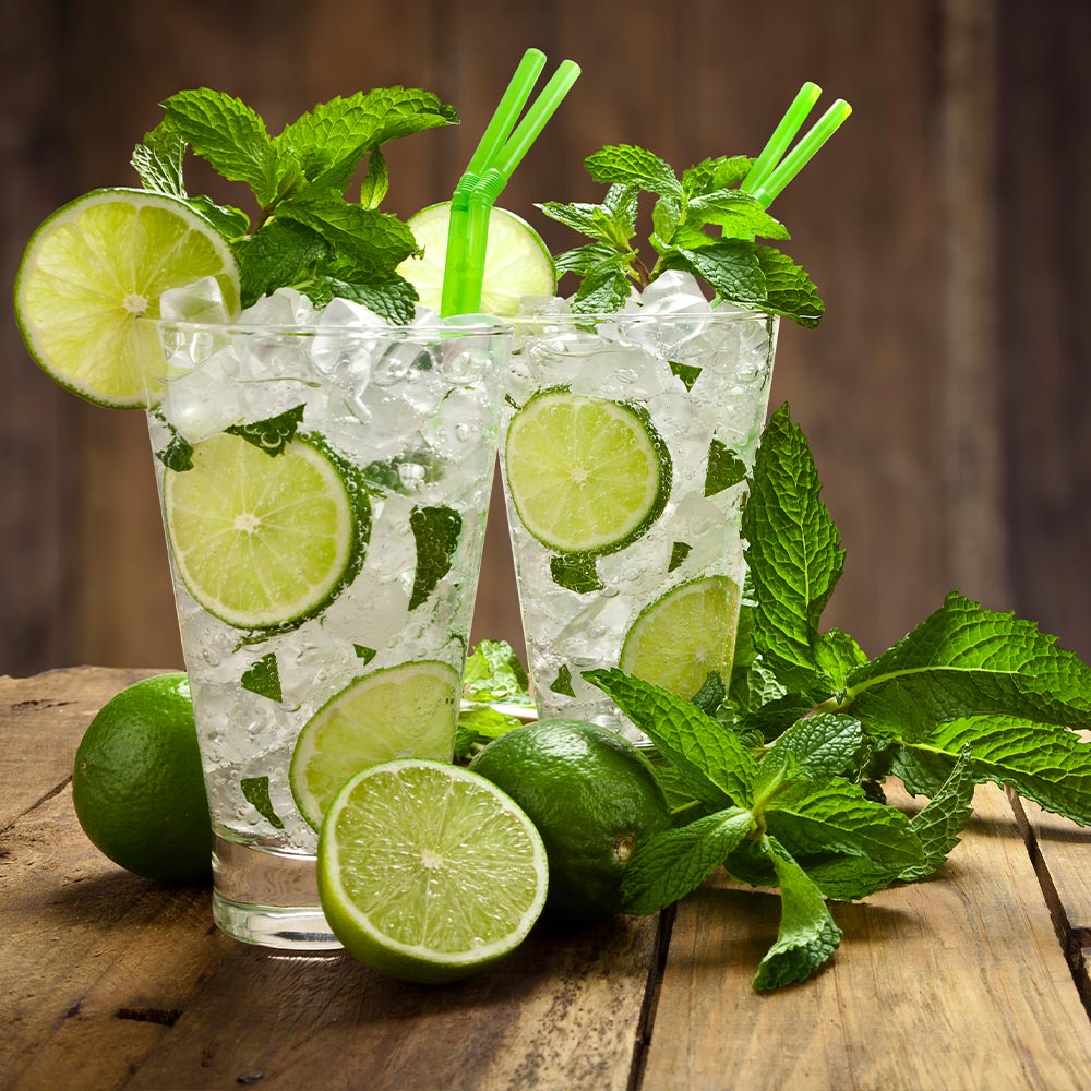 Persian 'Bearss' Lime Tree - Image 4