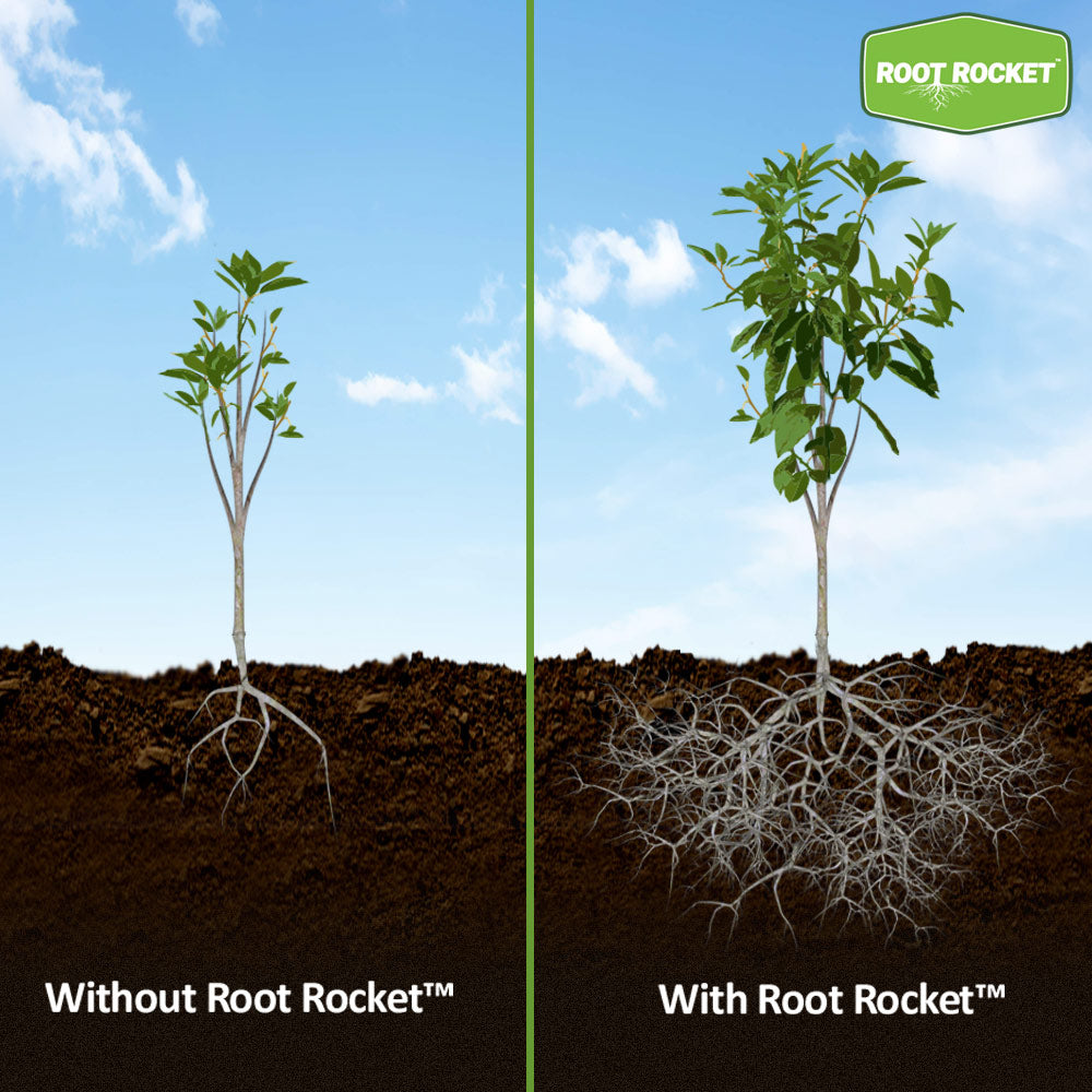 Root Rocket® Citrus Fertilizer - Image 4