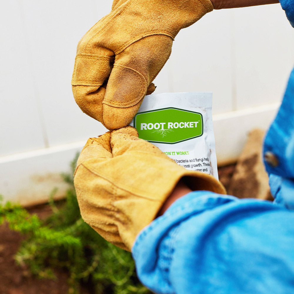 Root Rocket® Citrus Fertilizer - Image 5