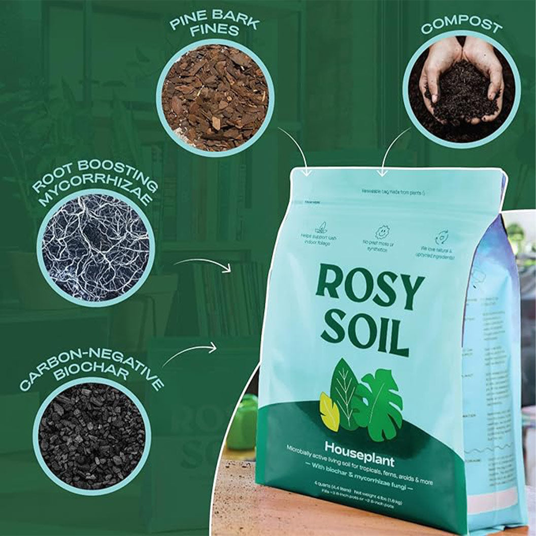 Rosy Soil Houseplant Mix - Image 3
