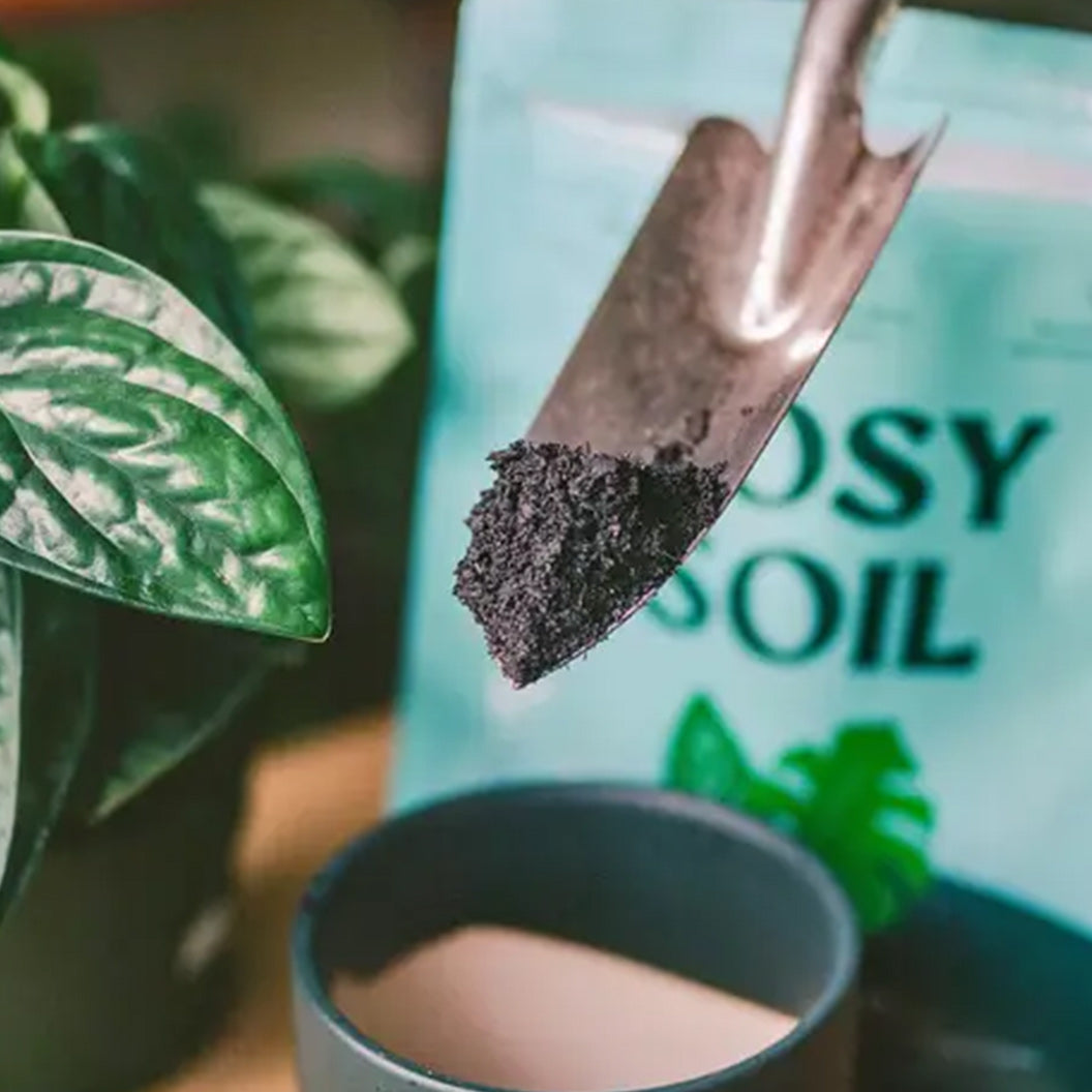 Rosy Soil Houseplant Mix - Image 2