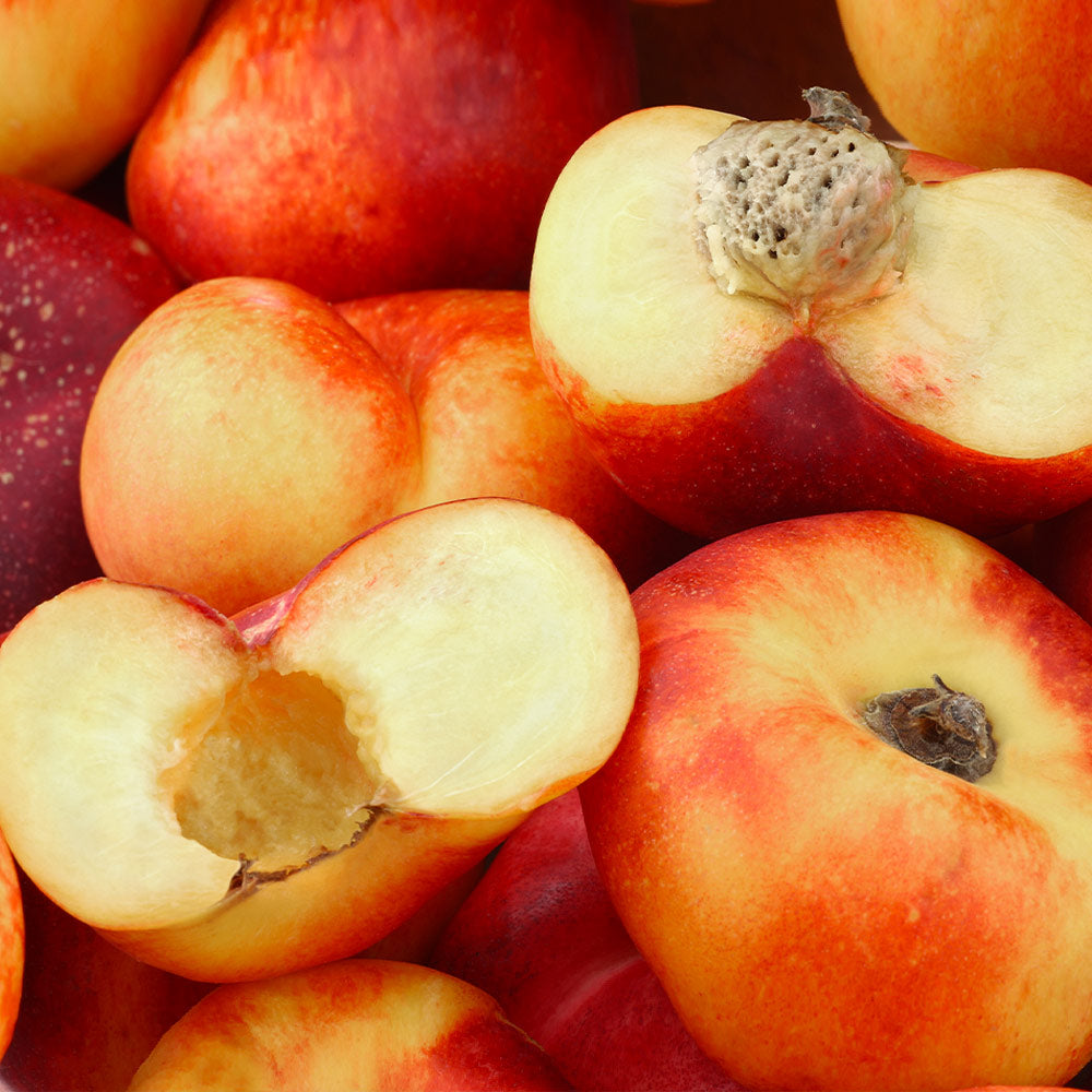 Donut Saturn Peach Tree - Image 2