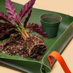 We the Wild Reusable Potting Mat