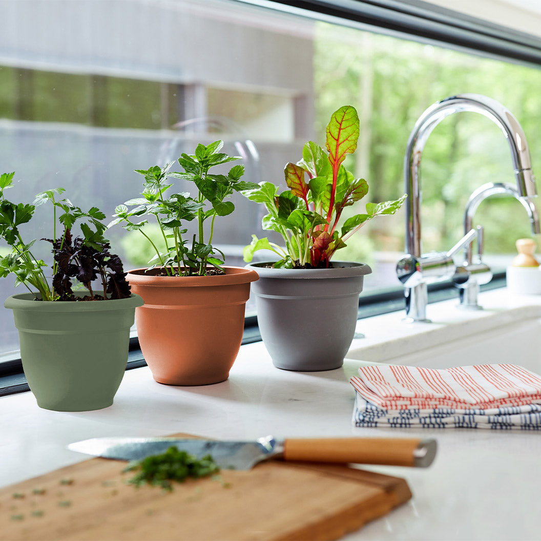Bloem Ariana Self-Watering Planter in Living Green - Image 5
