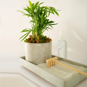 Desktop Zen Garden Kit