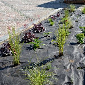 Fabriscape Weed Fabric